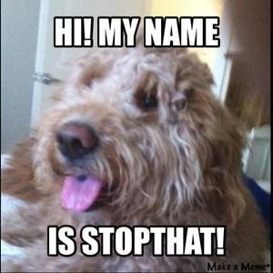 Meet your Posher, Sandra